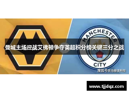 曼城主场迎战艾佛顿争夺英超积分榜关键三分之战